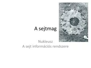 a sejtmag