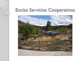 enciso servicios cooperativos