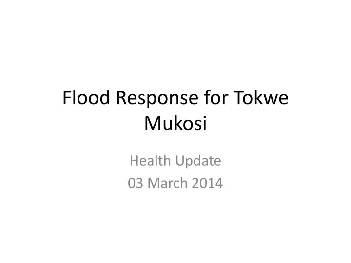 flood response for tokwe mukosi