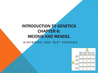 Introduction to Genetics Chapter 6: Meiosis and Mendel
