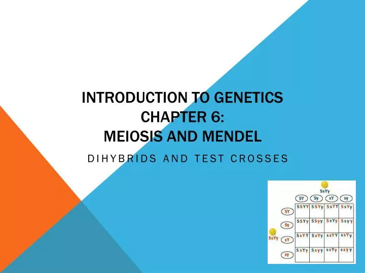 introduction to genetics chapter 6 meiosis and mendel