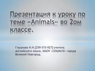 animals 2