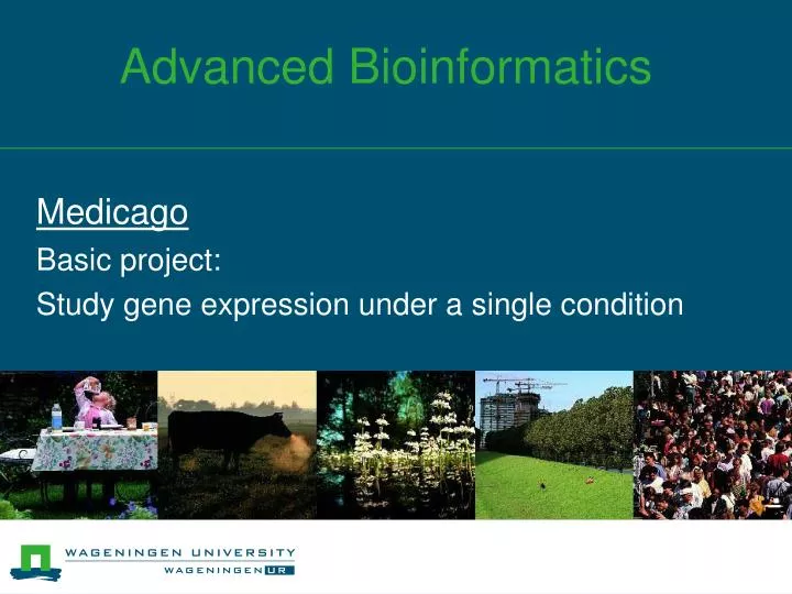 advanced bioinformatics