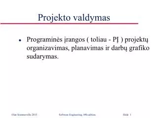 projekto valdymas