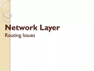 Network Layer Routing Issues