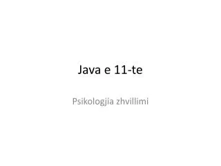 java e 11 te