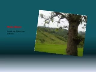 photo album