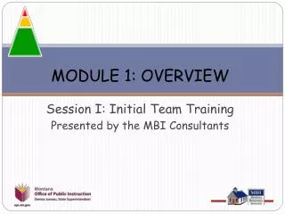 MODULE 1: OVERVIEW