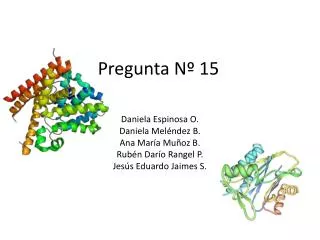 pregunta n 15