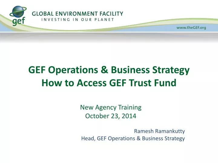 gef operations business strategy how to access gef trust fund