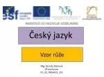 Vzor růže - slide 1