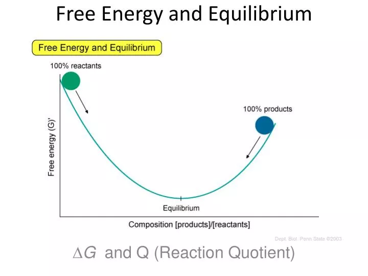 free energy and equilibrium