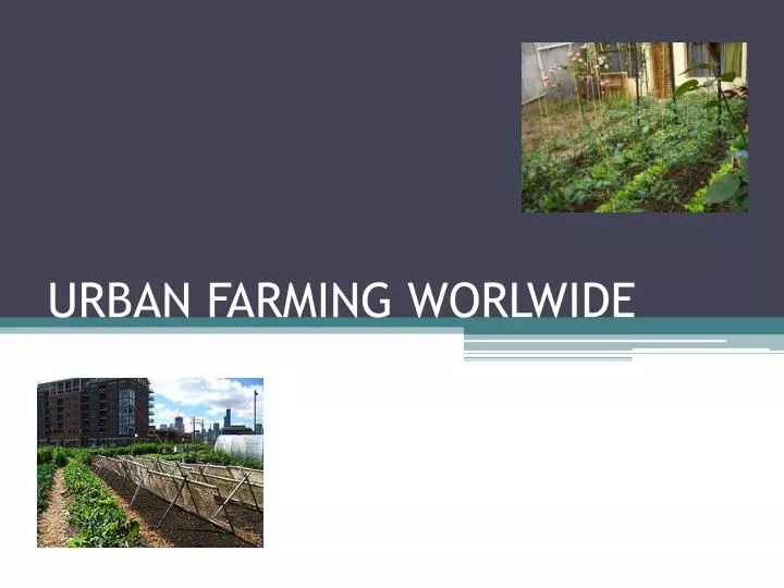 urban farming worlwide