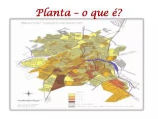 planta o que