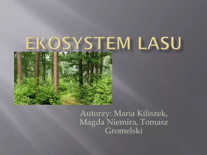 ekosystem lasu