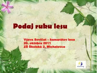 podaj ruku lesu