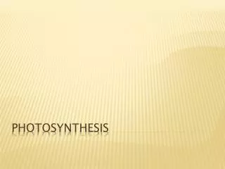 PHOTOSYNTHESIS