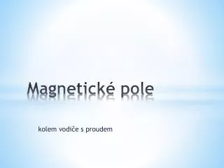 magnetick pole