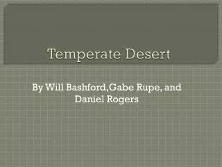 Temperate Desert