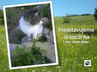 Predstavujeme si kocúrika /Veta – slabika-hláska /