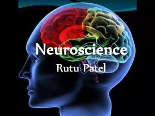 Neuroscience Rutu Patel