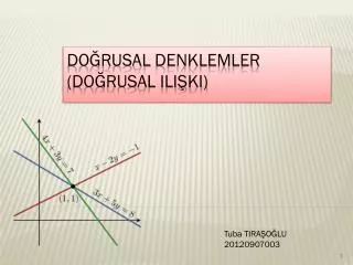 do rusal denklemler do rusal ili ki