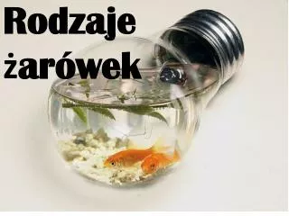 rodzaje ar wek
