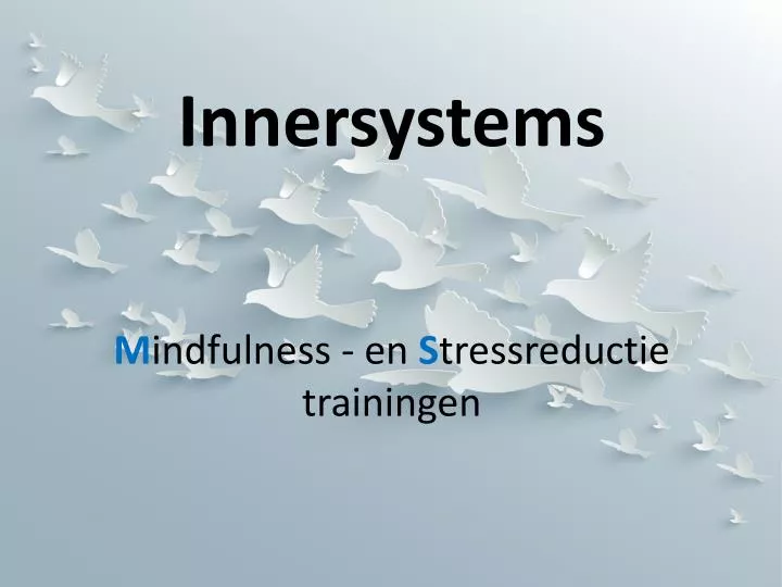 innersystems m indfulness en s tressreductie trainingen