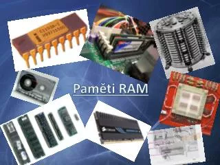 pam ti ram