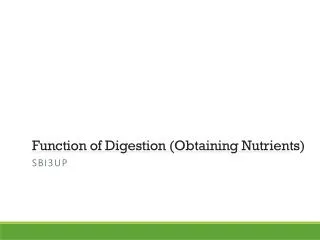 Function of Digestion (Obtaining Nutrients)