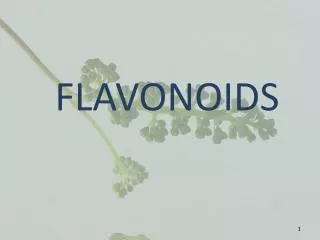 FLAVONOIDS