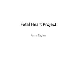 Fetal Heart Project