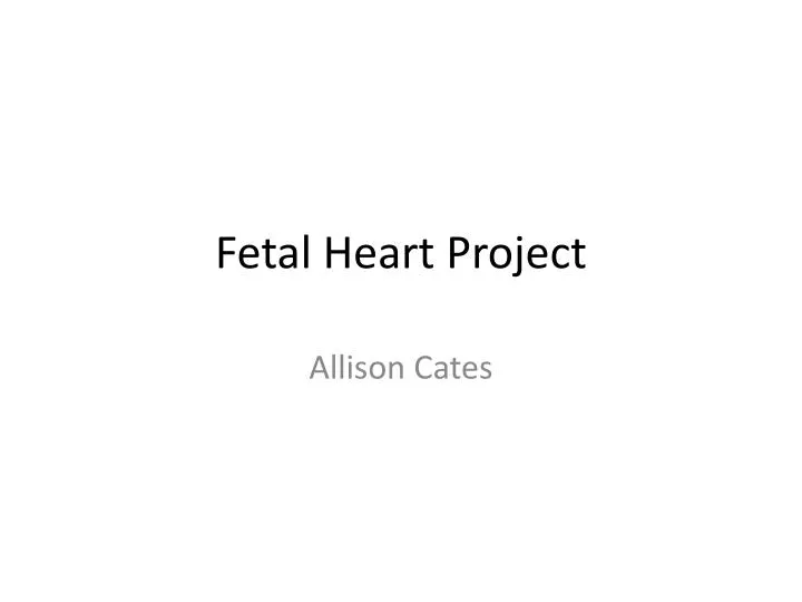 fetal heart project