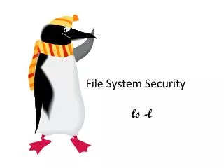 File System Security	 ls -l