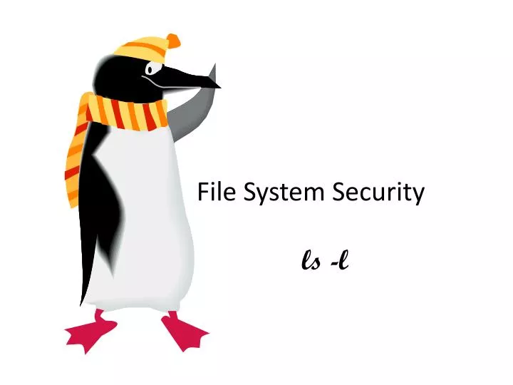 file system security ls l