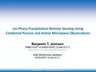 Ice-Phase Precipitation Remote Sensing Using Combined Passive and Active Microwave Observations