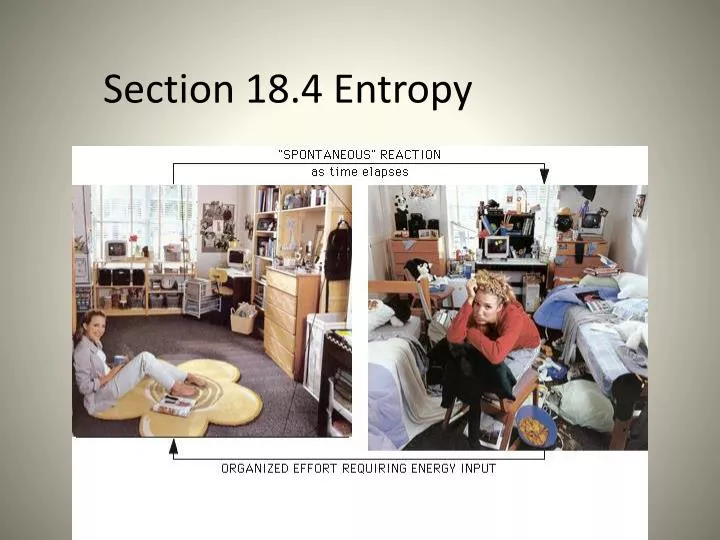 section 18 4 entropy