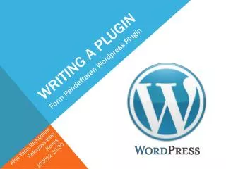 writing a plugin