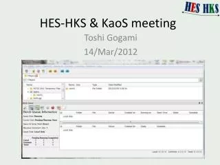 HES-HKS &amp; KaoS meeting