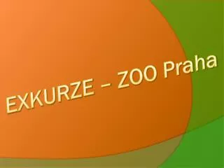 exkurze zoo p raha