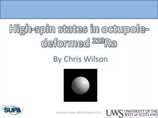High-spin states in octupole -deformed 219 Ra