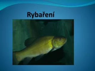ryba en