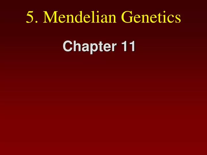 5 mendelian genetics