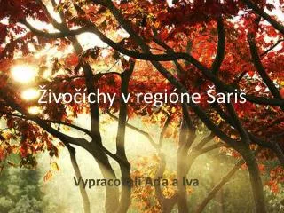 ivo chy v regi ne ari