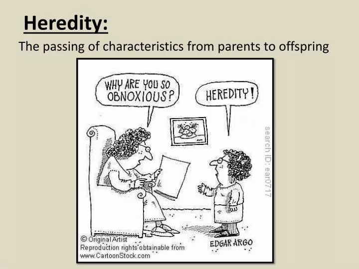 heredity