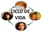 CICLO DE VIDA - slide 1