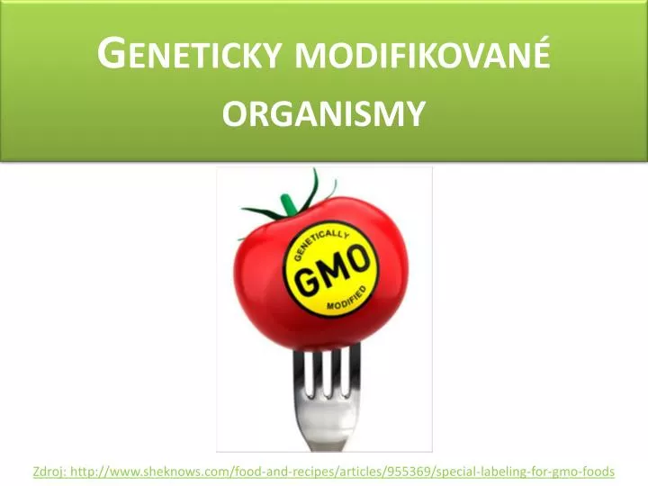 geneticky modifikovan organismy