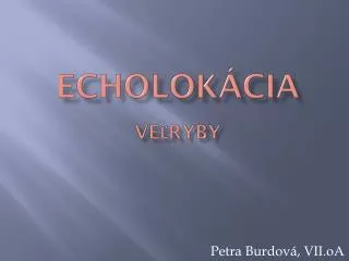 echolok cia ve ryby