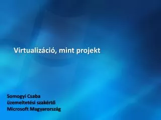 virtualiz ci mint projekt