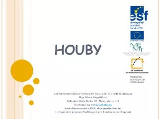 houby